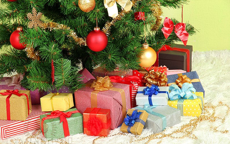 Как реагировать на просьбы ребенка о дорогом новогоднем подарке: советы психолога
