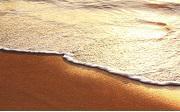 Новости Ассоциации песочной терапии: подготовка Форума