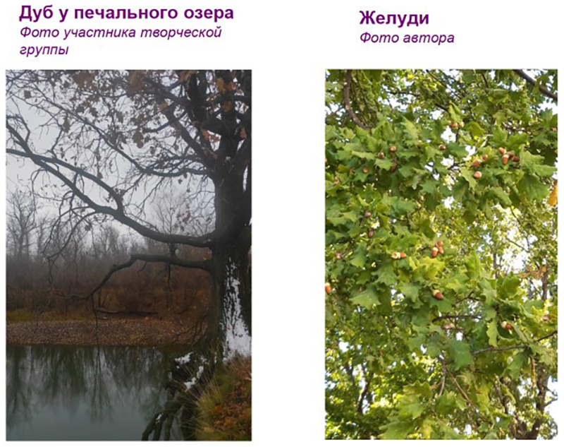 Слайд к занятию о целебно-творческом фотографировании