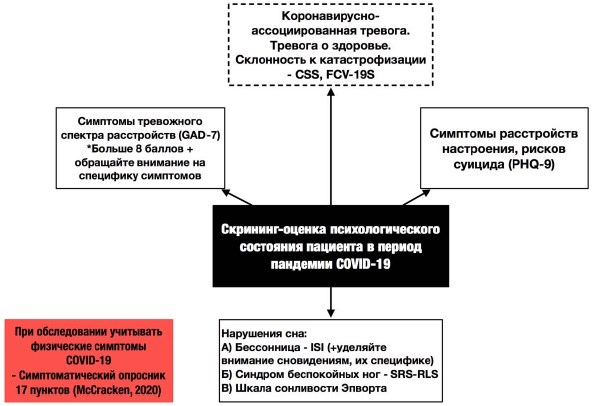 Сексомния — Википедия