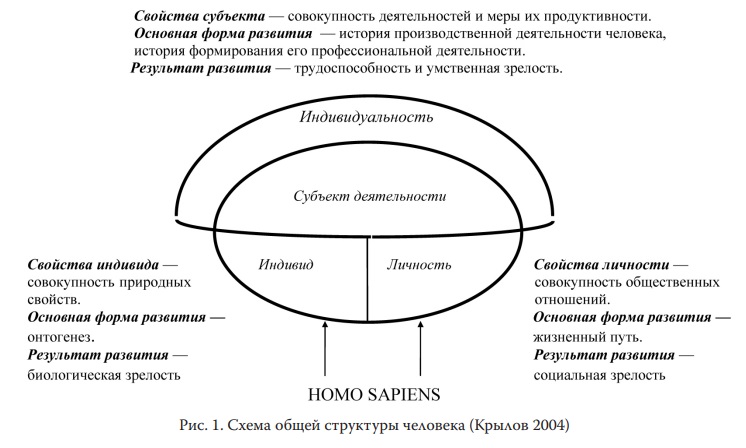 Психологическая структура личности