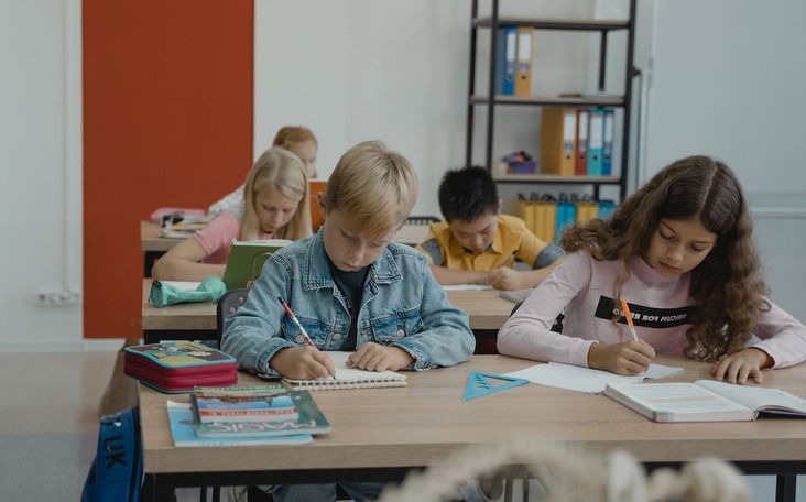 Формирование мозговых механизмов произвольного контроля