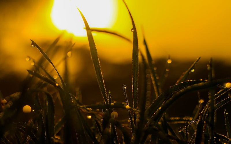 Актуальные проблемы духовно-психологической помощи: взгляд со святоотеческих позиций