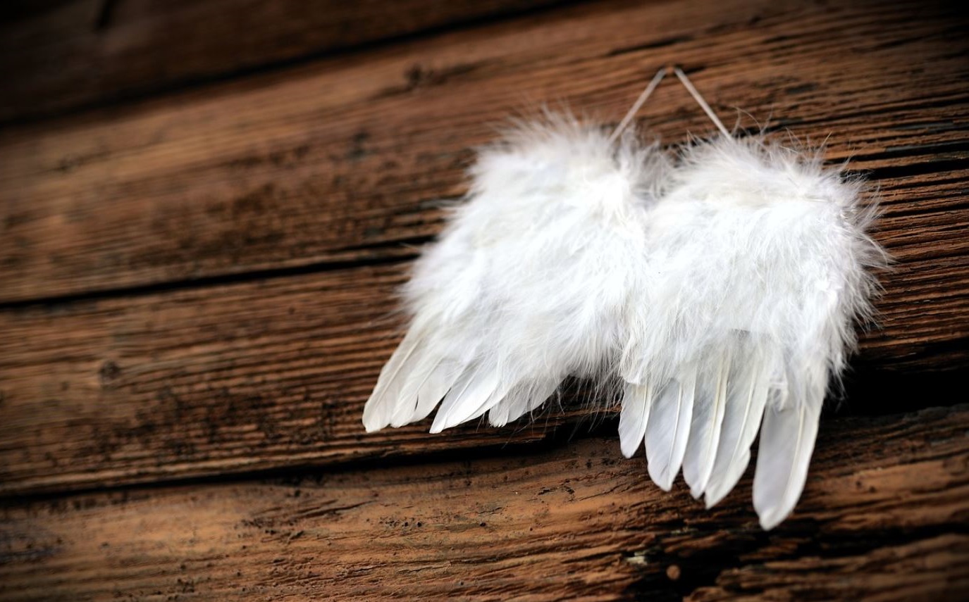 Крылья ангела перья