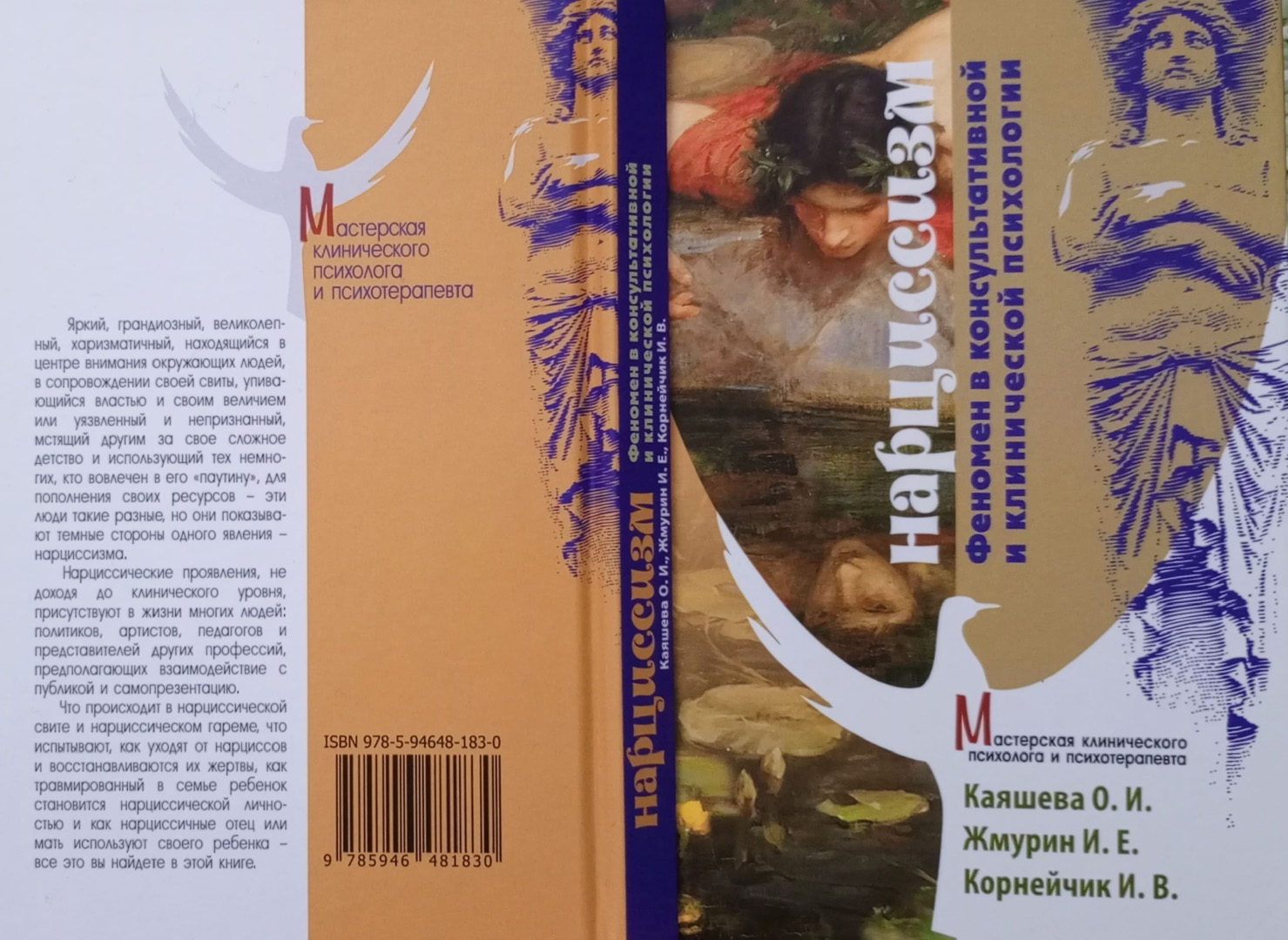 Основная иллюстрация